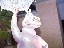 LaBrocca_6290