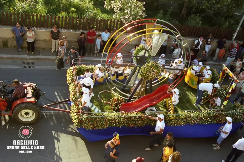 Festa Rose 20020334
